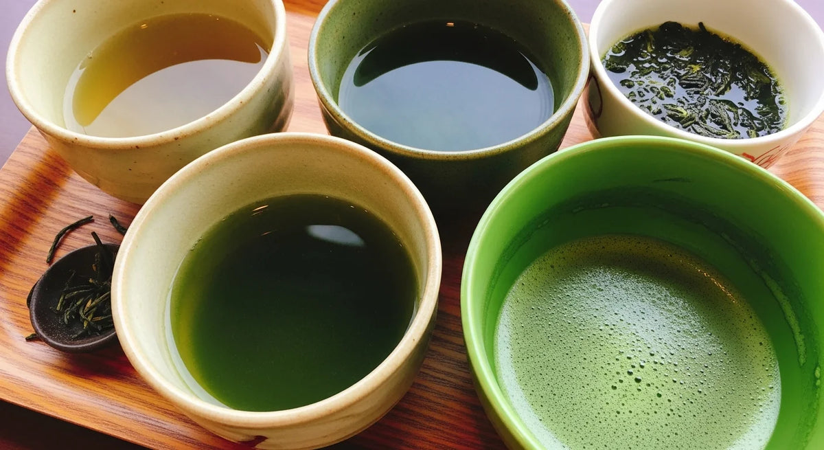 緑茶のカフェインはどのくらい?煎茶・玉露・抹茶の違い