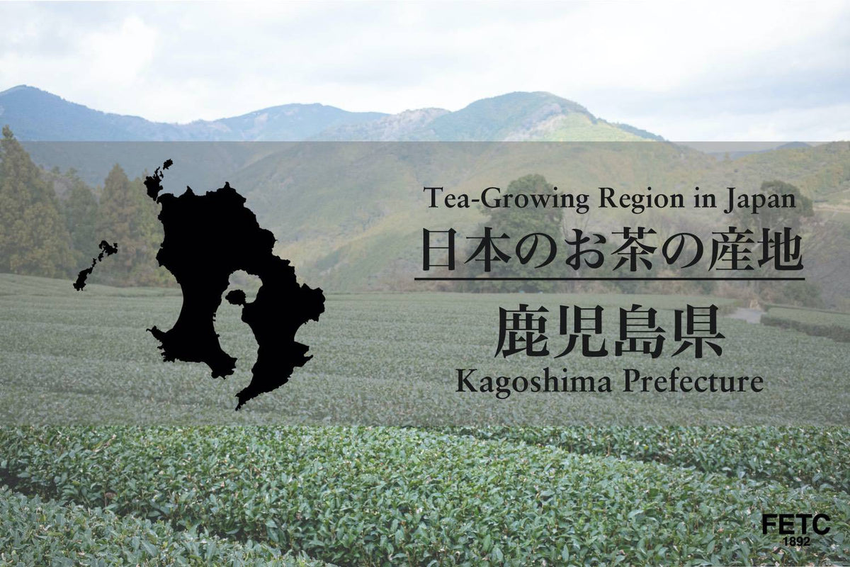 日本のお茶の産地|鹿児島県