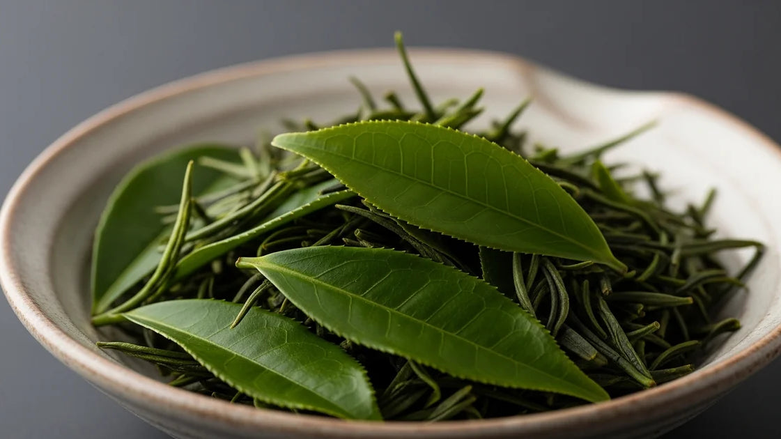 Izumi tea cultivar leaves with distinctive oxidized color suitable for black tea