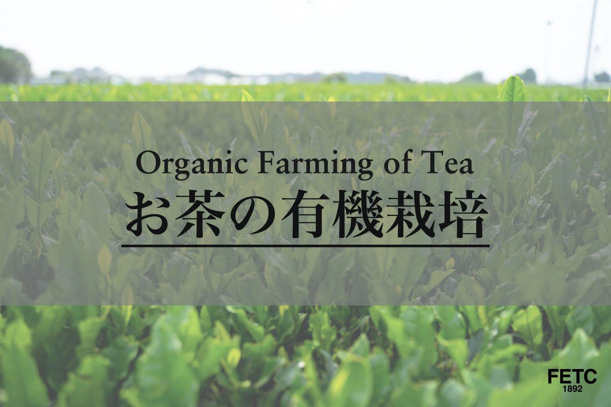 有機茶の栽培:JAS認証と無農薬との違い