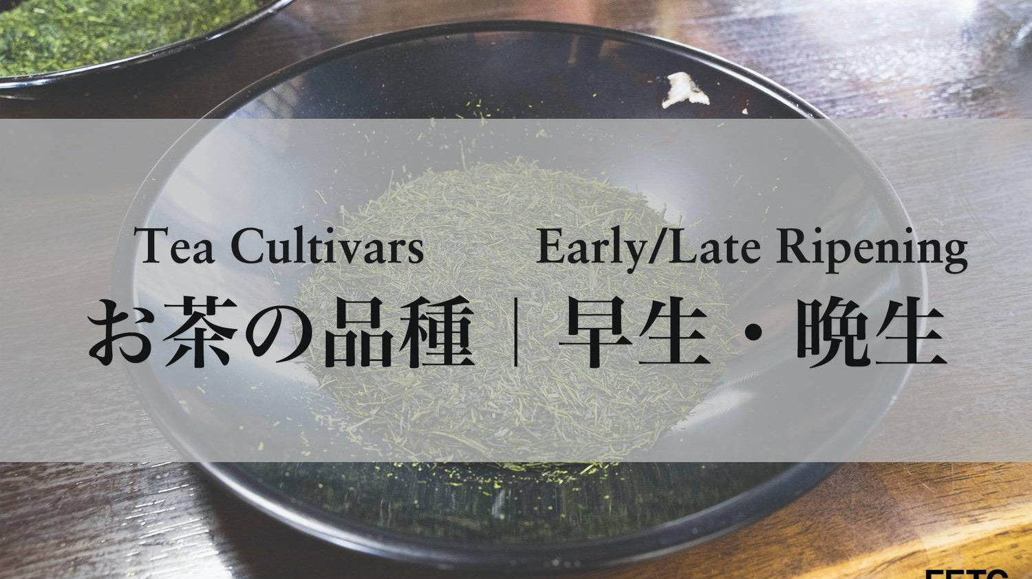 Comparison of early-ripening and late-ripening Japanese tea cultivar harvest times