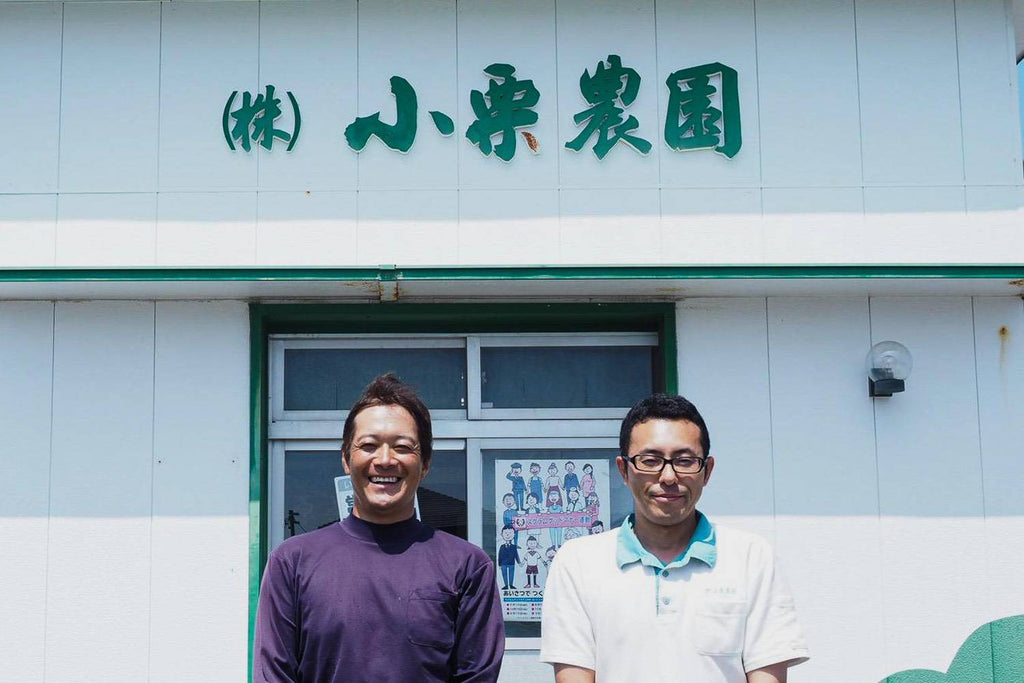 Tea growing with all the nature on the Makinohara Plateau(1/2)  | Oguri Tea Farm & Sugita Tea Farm, of Makinohara, Shizuoka