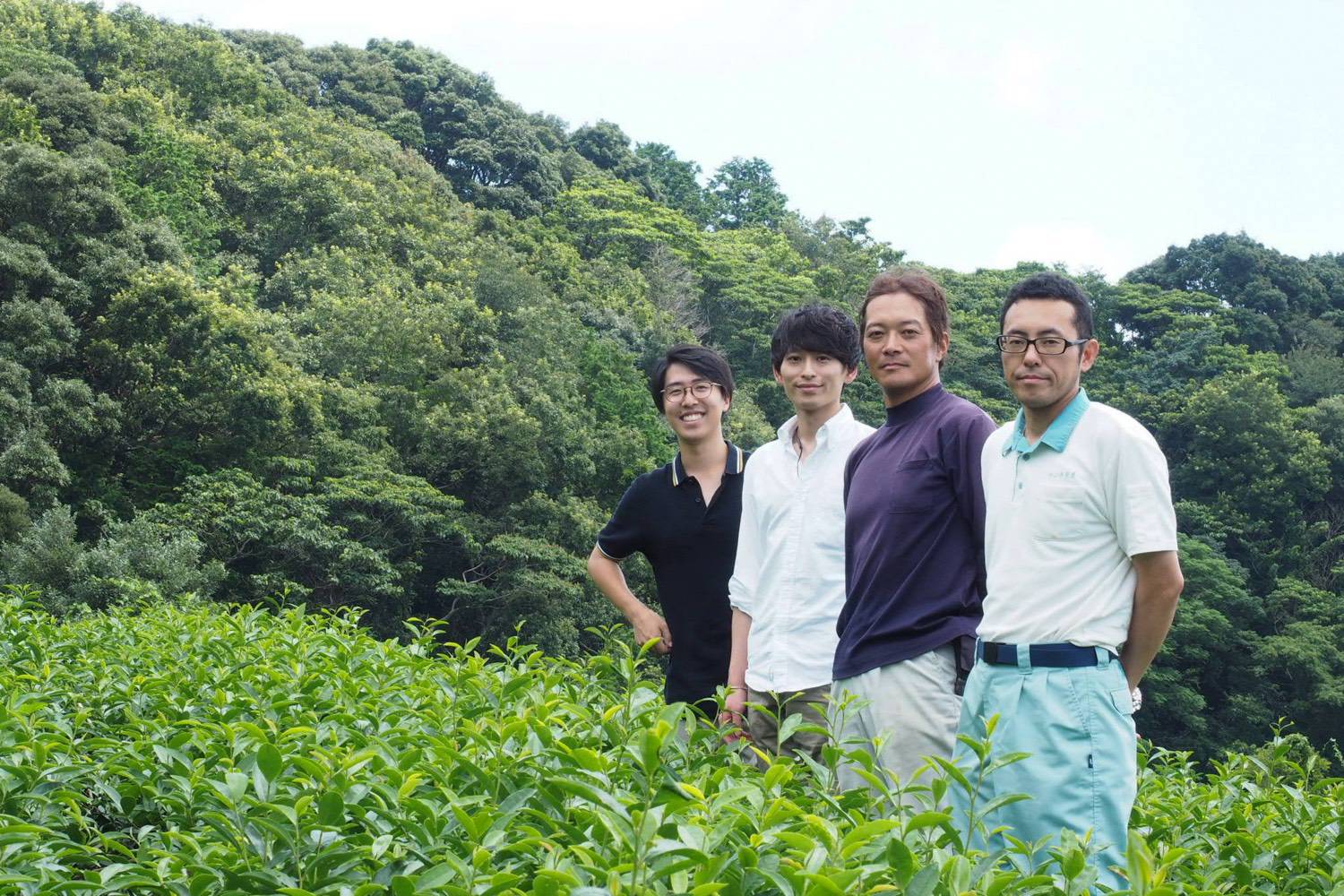Chagusaba and the Honey-Scented Leaf. Sugita Tea Farm (2/2)