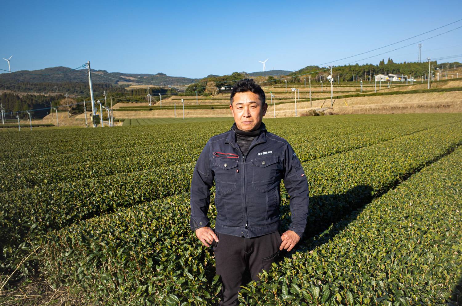 Forty-Five Hectares, Always Studying. Shimokubo Isao Tea Factory.