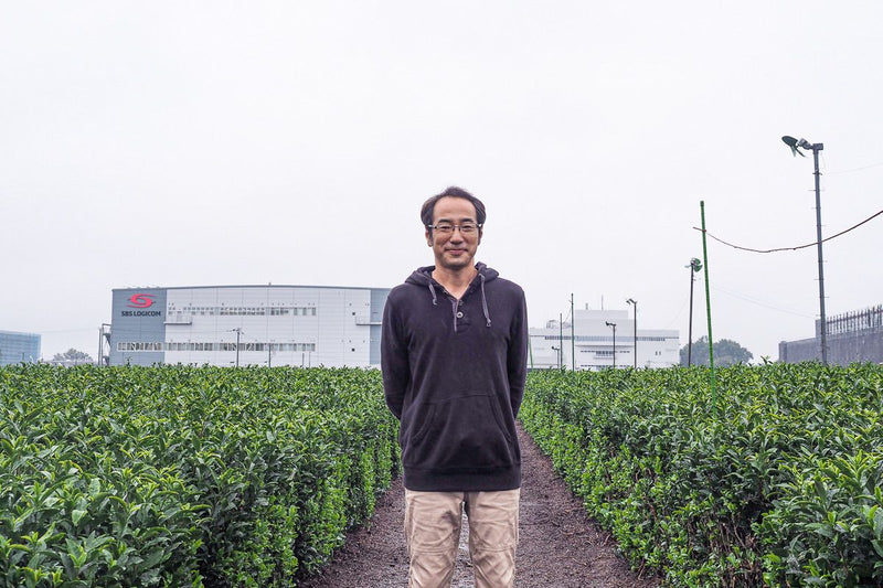 The Forest That Feeds the Fields. Hiraoka Tea Farm.