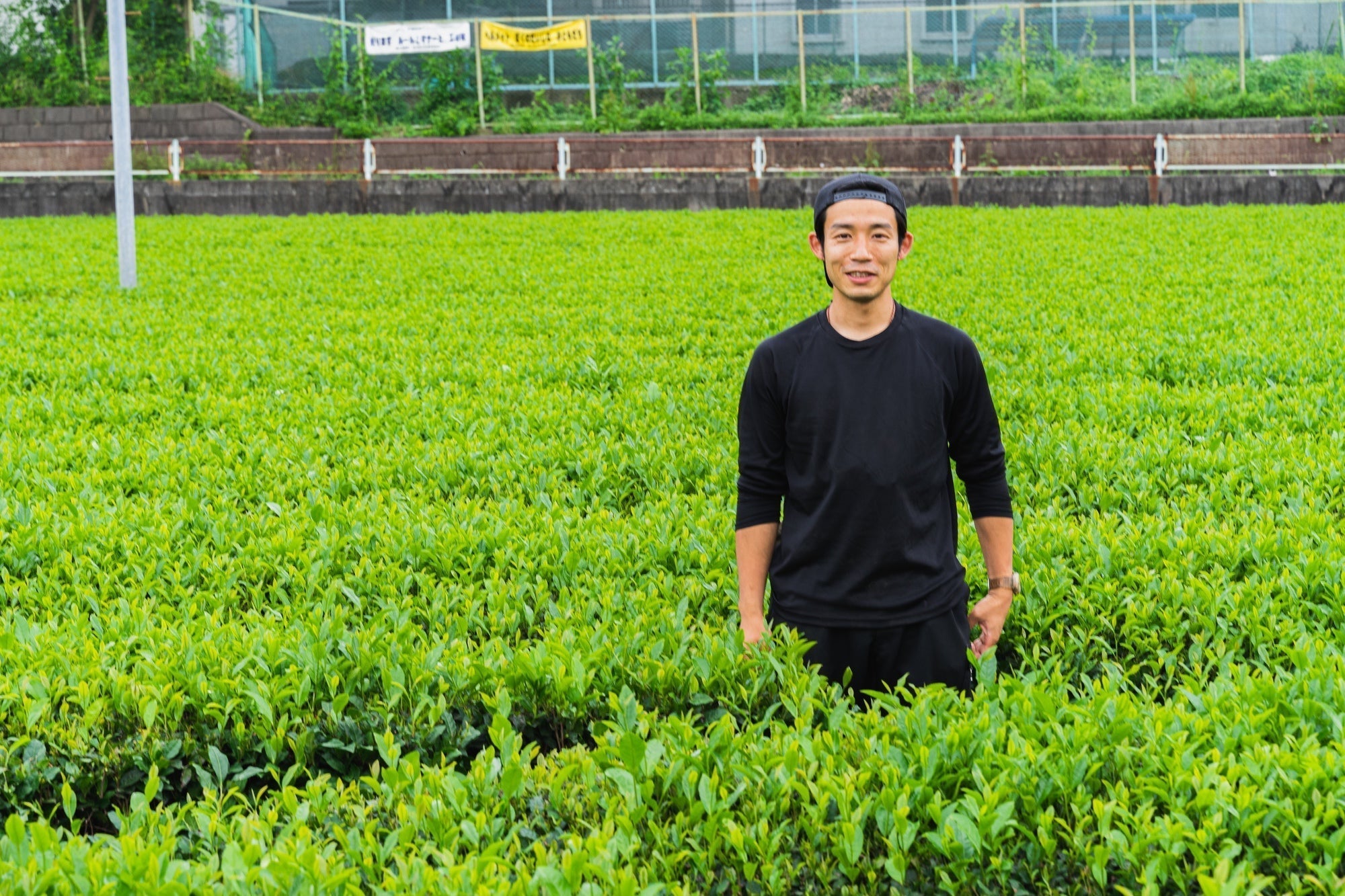 Soil, Cultivars, and the Sayama Finish. Yokota Tea Farm.