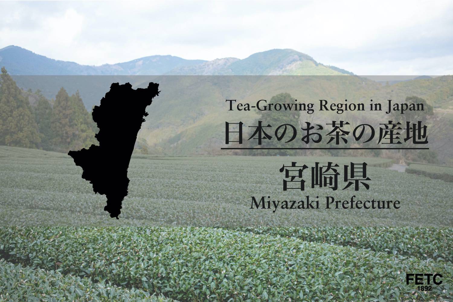 Tea gardens in Miyazaki Prefecture with warm climate for early-harvest tea