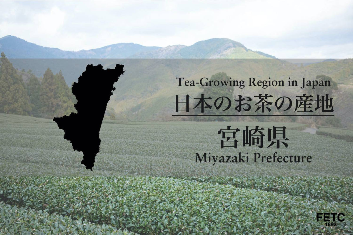 日本のお茶の産地｜宮崎県
