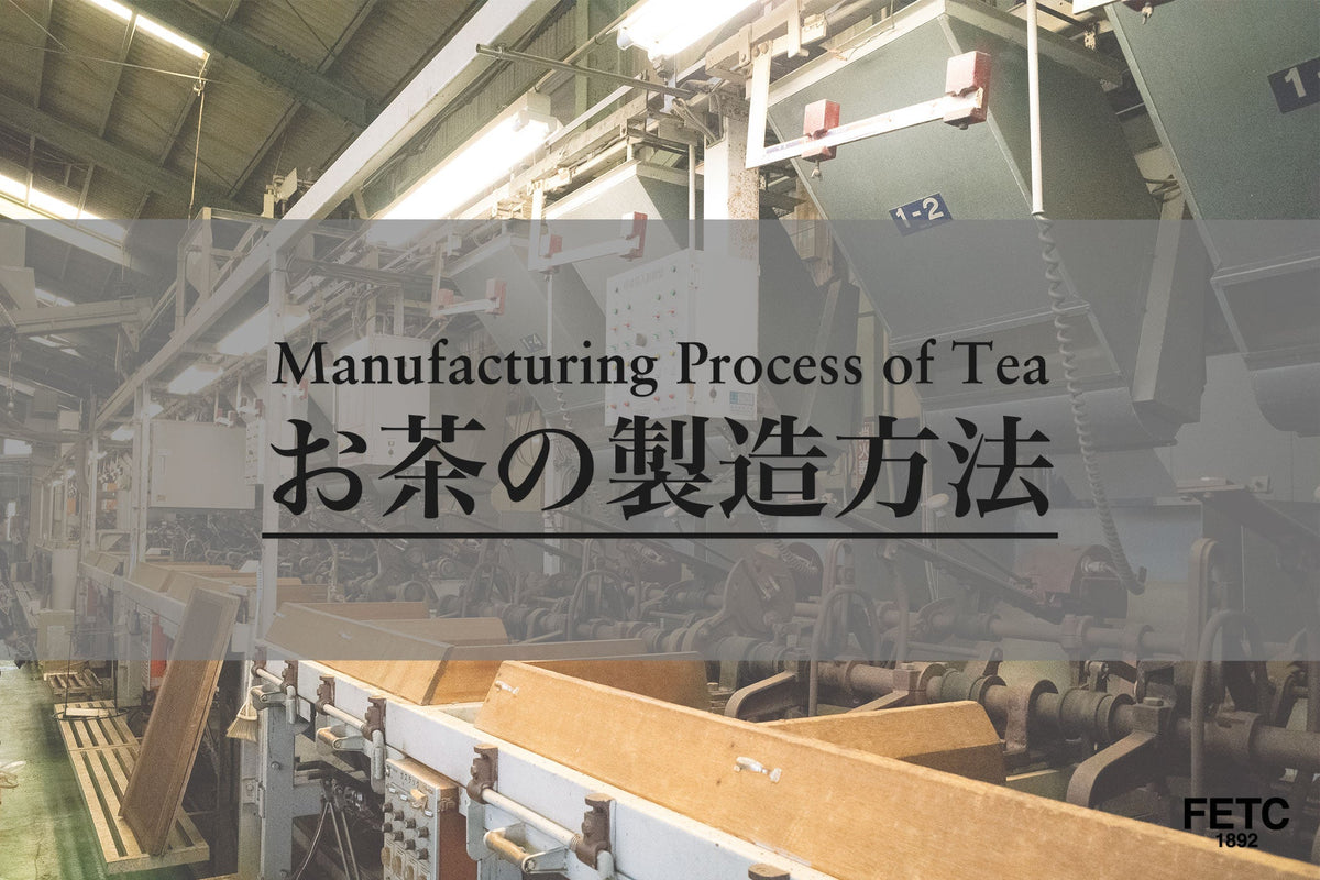 お茶の製造工程 — 生葉から一杯になるまでのすべて