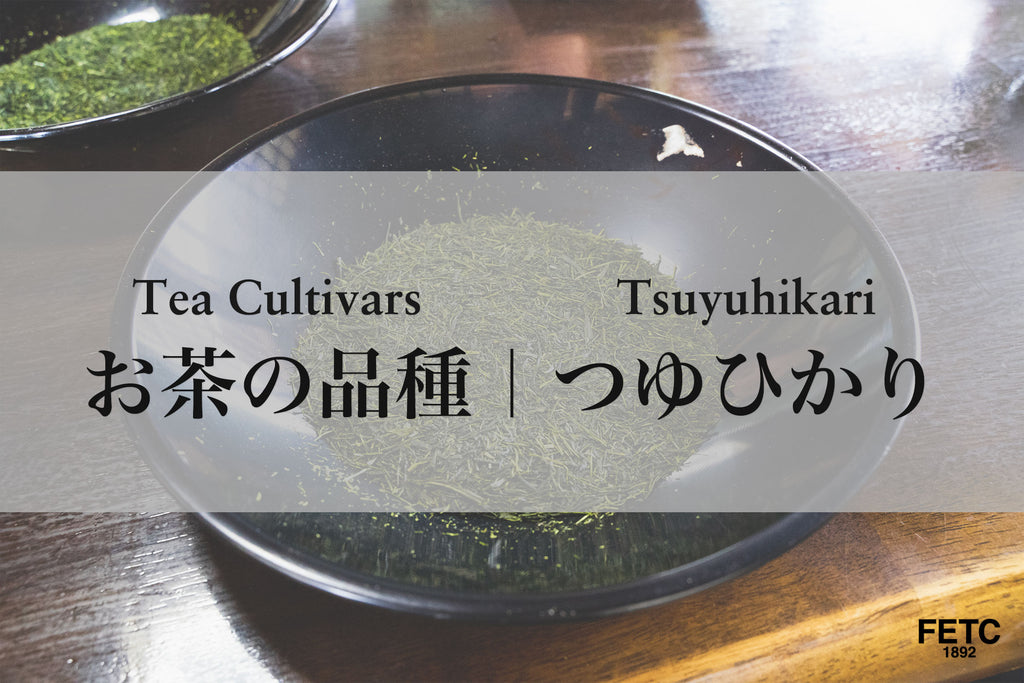 Tea Cultivar | Tsuyuhikari