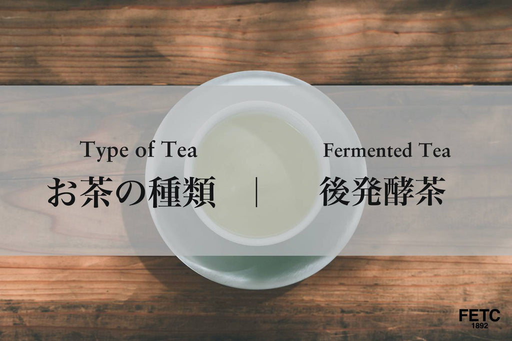 Tea Types | Fermented Tea