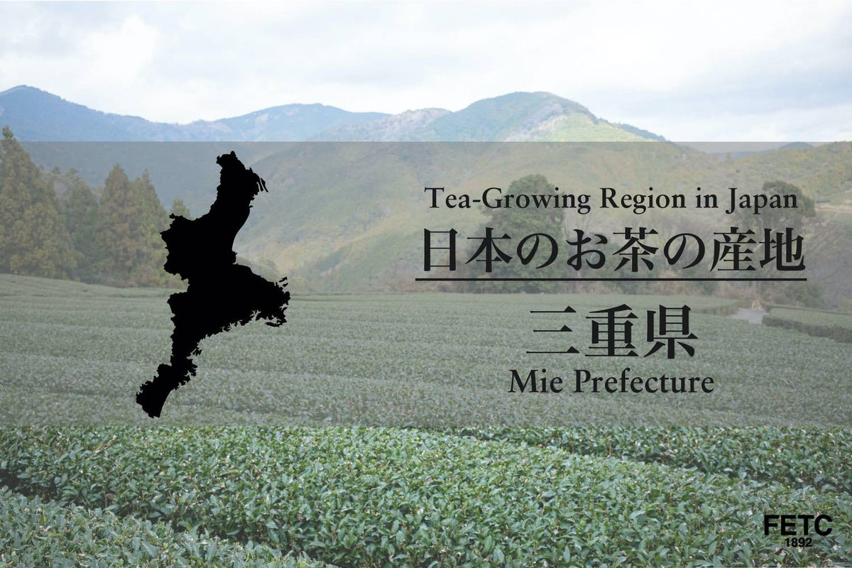 三重県のお茶｜全国3位・かぶせ茶日本一の伊勢茶ガイド