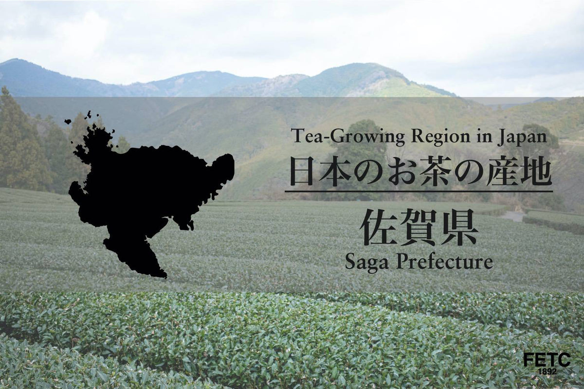 日本のお茶の産地｜佐賀県